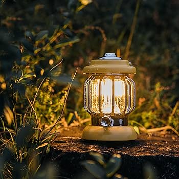 71c+t+BFVDL._AC_UF350,